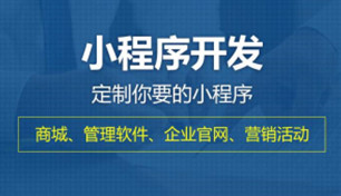 武汉软件开发-武汉网站建设-武汉APP开发-武汉微信小程序开发-武汉网络推广—轩承科技